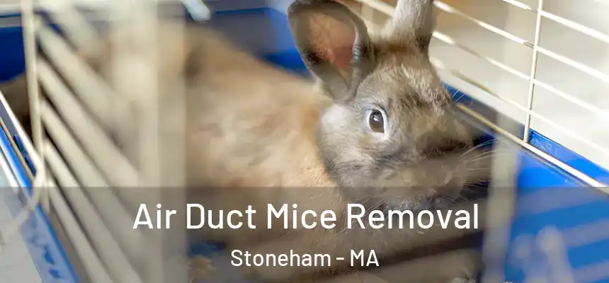  Air Duct Mice Removal Stoneham - MA