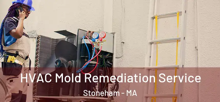  HVAC Mold Remediation Service Stoneham - MA
