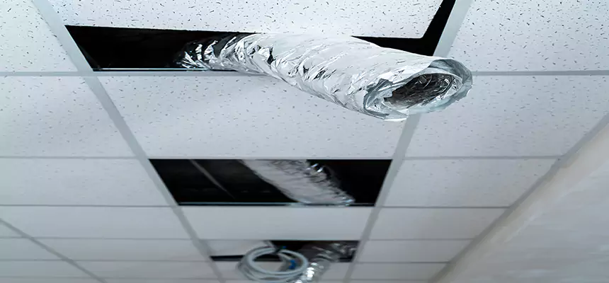 Affordable HVAC Sanitizing After Pest Removal in Stoneham