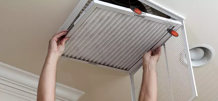 Our Insect Removal from Air Ducts Services in Stoneham, MA