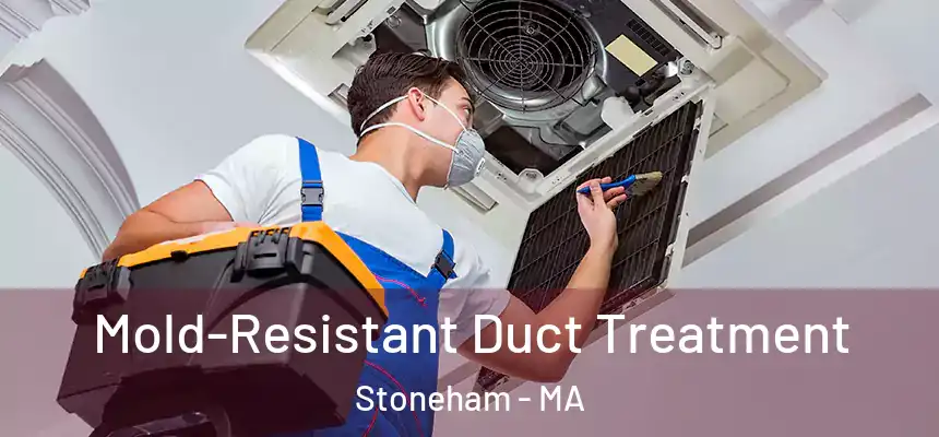  Mold-Resistant Duct Treatment Stoneham - MA