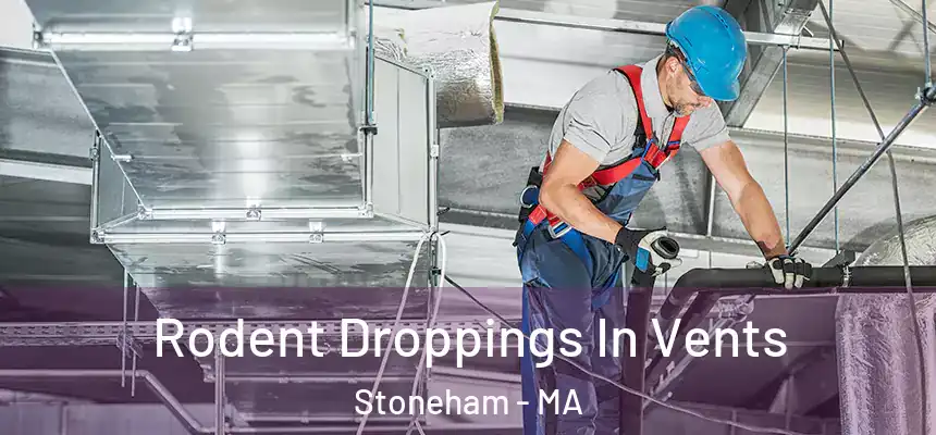  Rodent Droppings In Vents Stoneham - MA